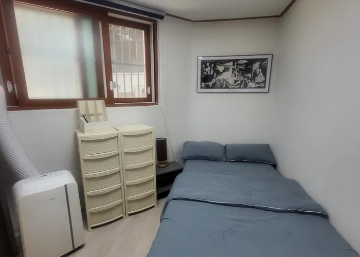 Newly Renovated Cozy Studio#9 Apartment Seoul