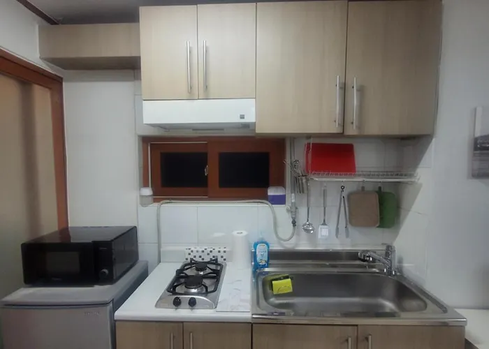 Apartment Newly Renovated Cozy Studio#9 *
